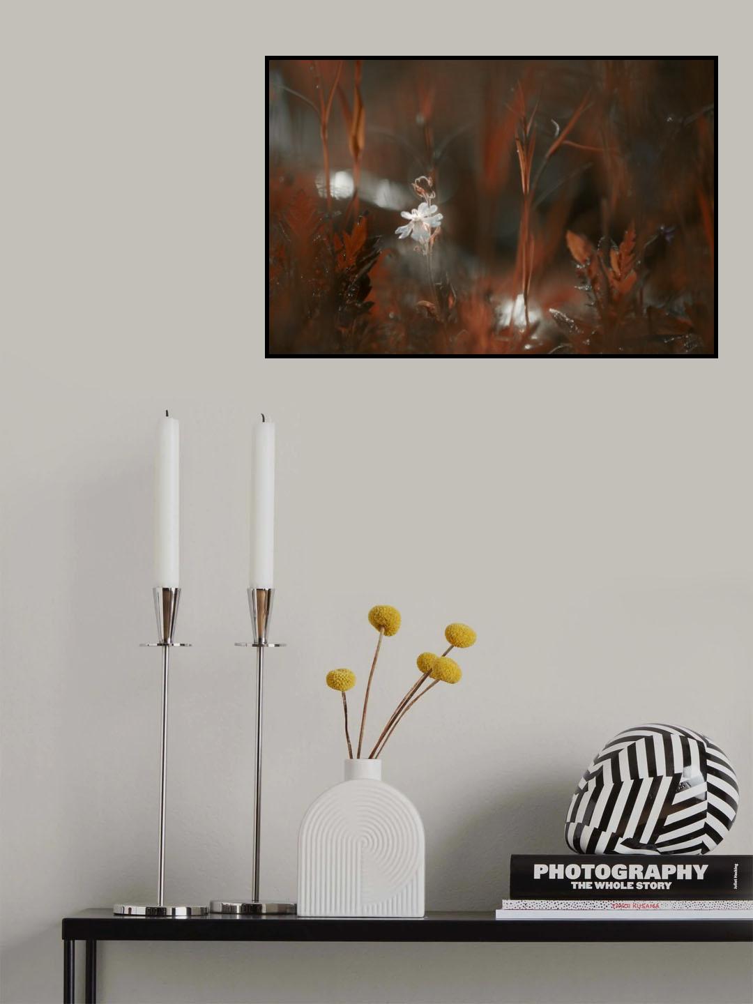 Fairy Lights Poster och Canvastavla
