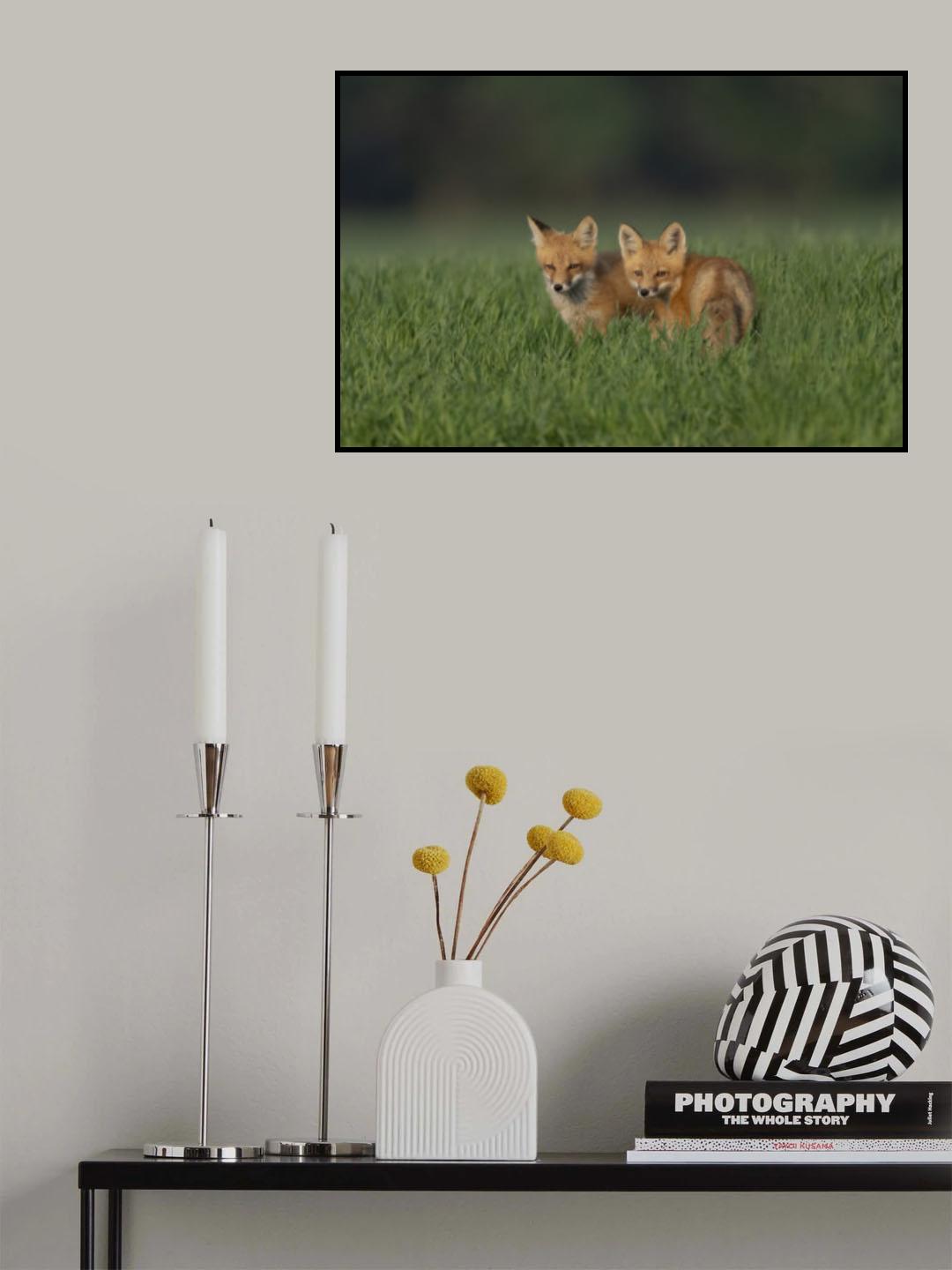 Sweeties Poster och Canvastavla