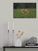 Sweeties Poster och Canvastavla
