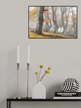 The old beech tree Poster och Canvastavla
