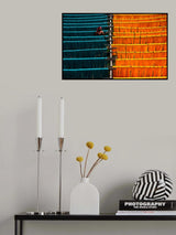 Drying in progress Poster och Canvastavla