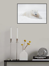 White &amp; Big Poster och Canvastavla