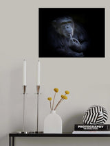 why? Poster och Canvastavla