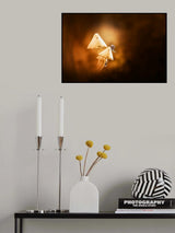 snail and mushroom Poster och Canvastavla