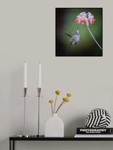 A Pollinator Poster och Canvastavla