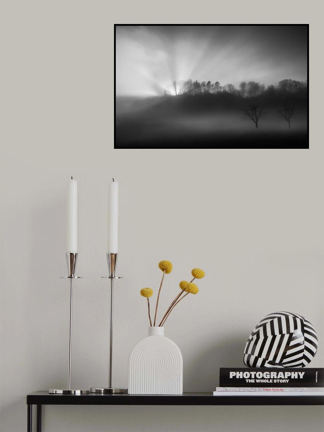 The sun in the fog Poster och Canvastavla