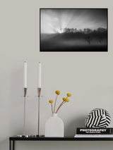 The sun in the fog Poster och Canvastavla
