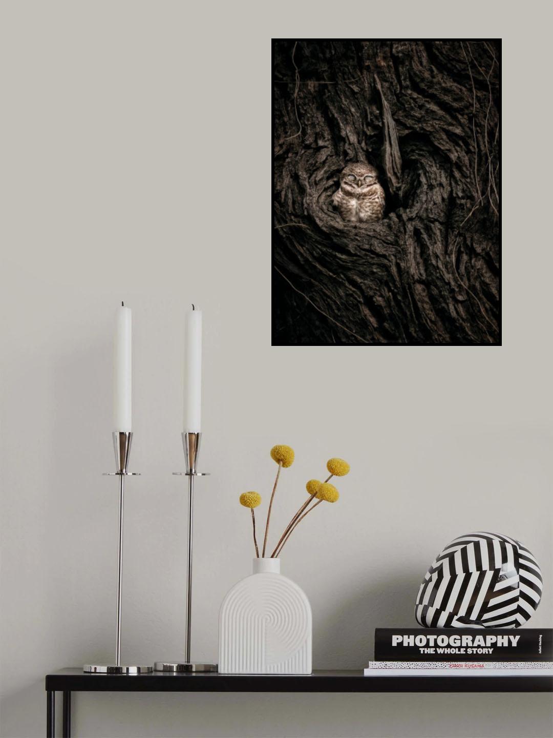 Sweet Home Poster och Canvastavla