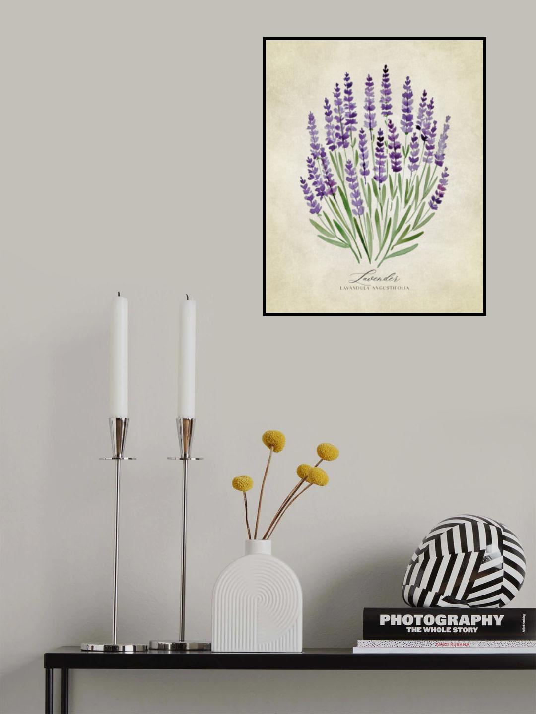 Lavender vintage Poster och Canvastavla