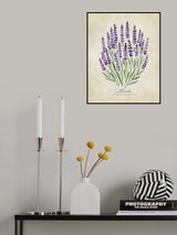 Lavender vintage Poster och Canvastavla