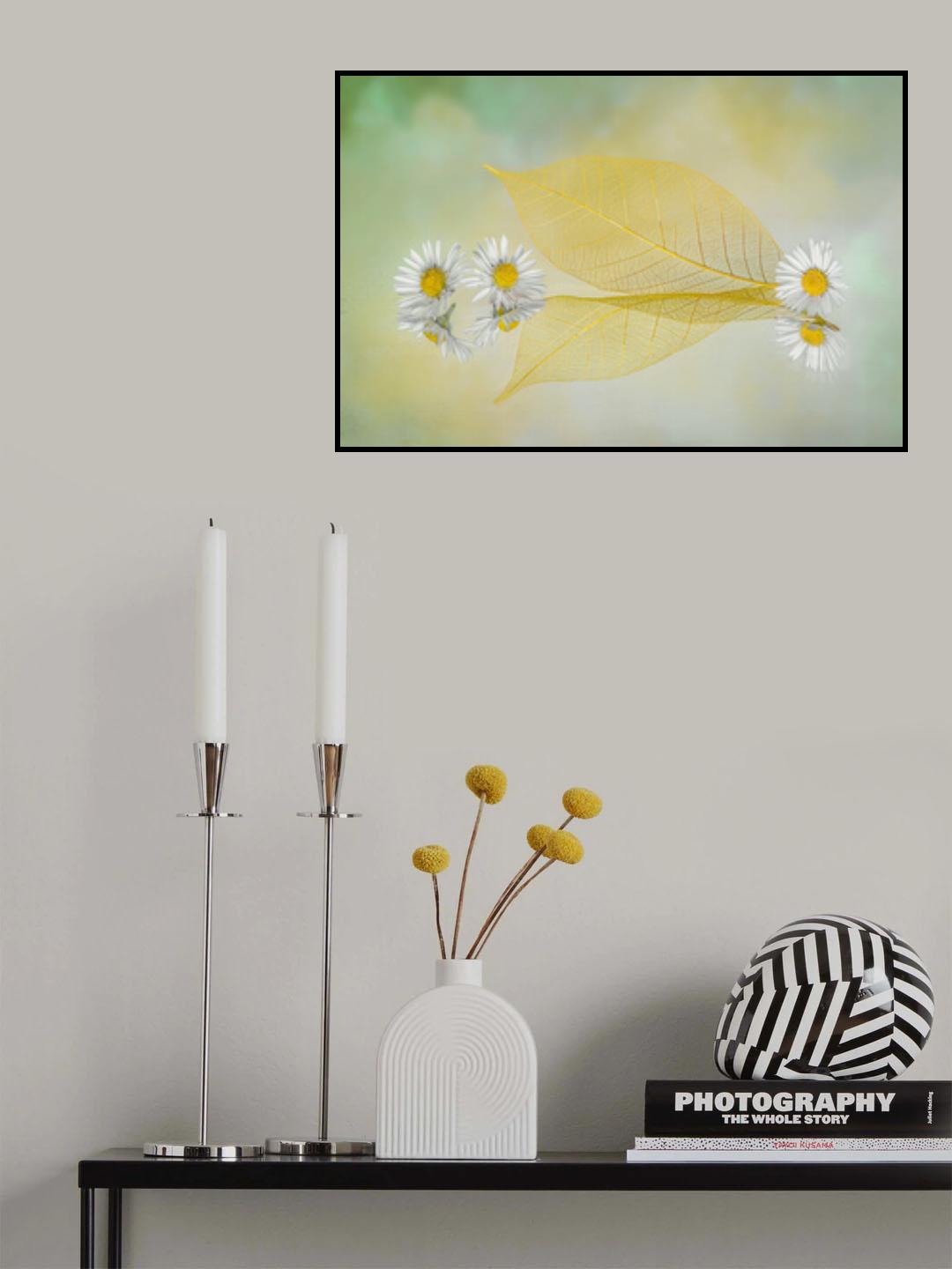Mini Daisy Poster och Canvastavla
