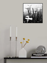 Hyde Park Lillies Poster och Canvastavla