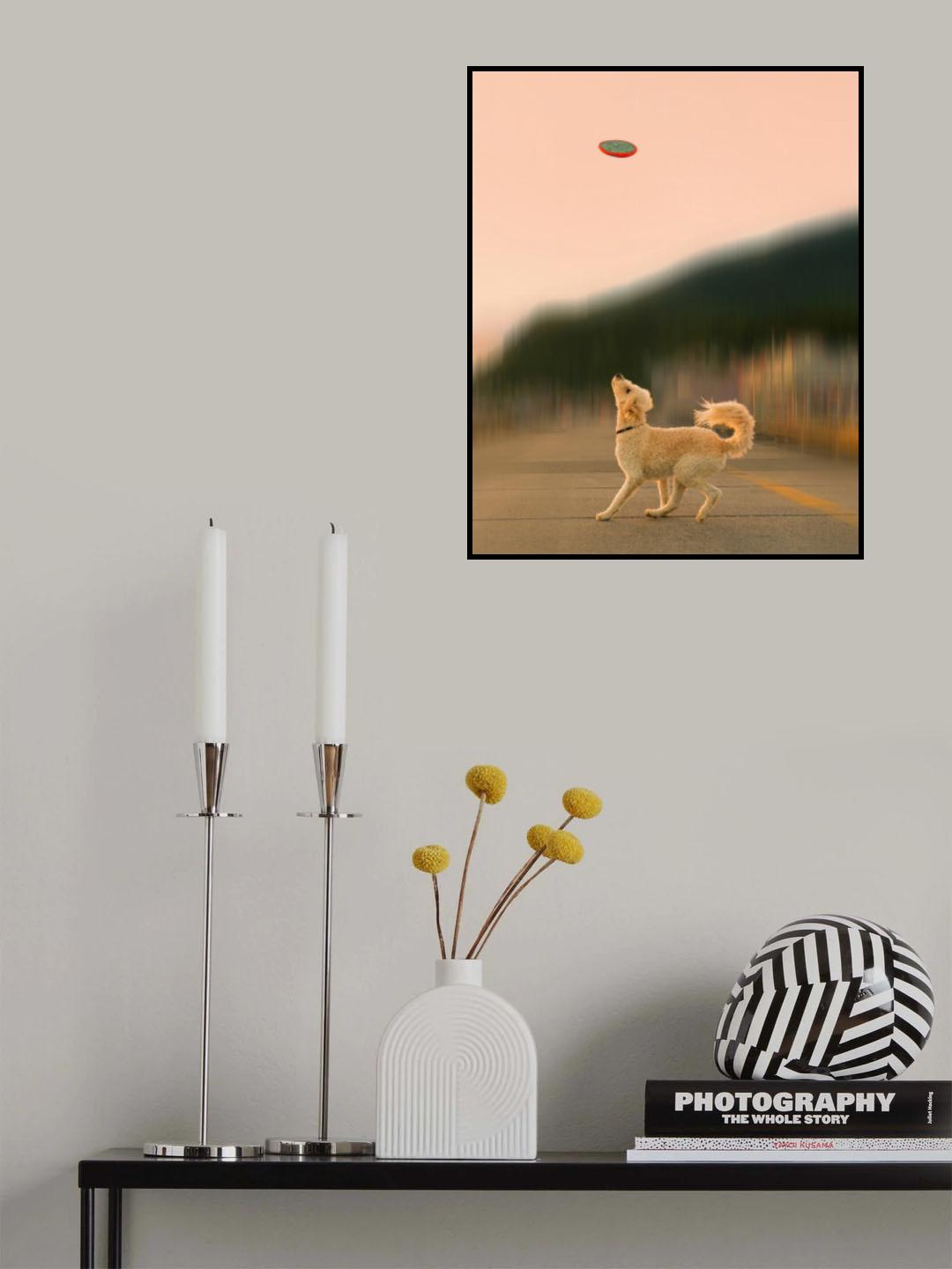 Hoping Poster och Canvastavla