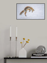 What a jump! Poster och Canvastavla