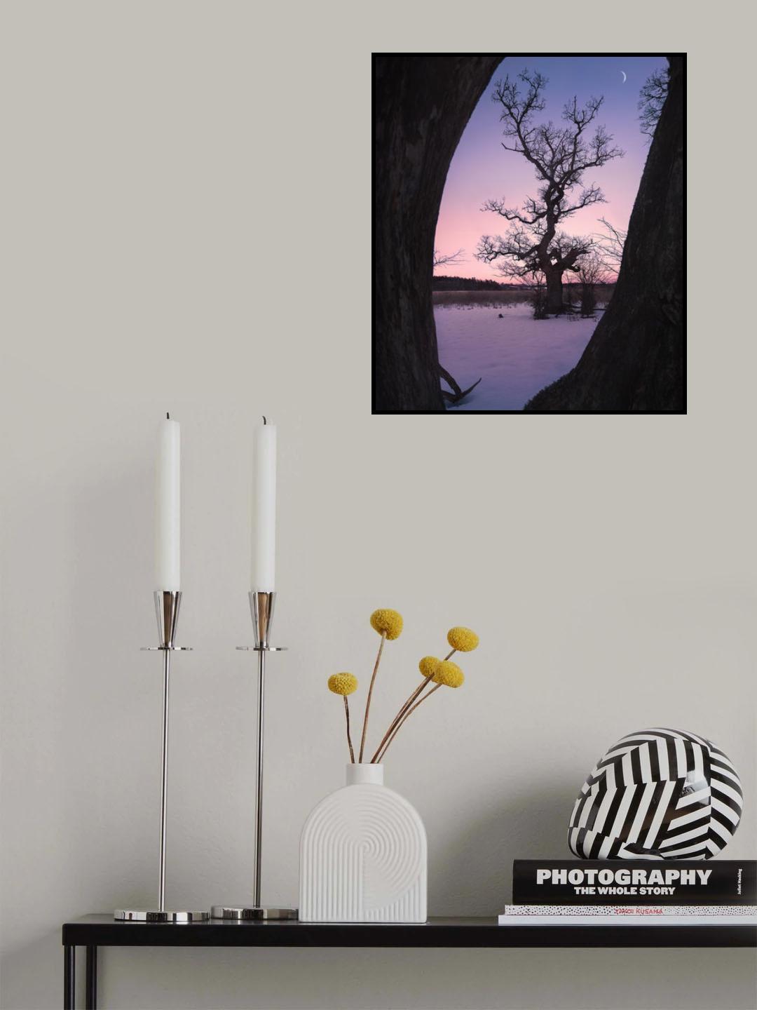 Oaktree during blue hour Poster och Canvastavla