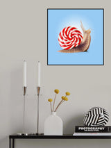 Snail Candy Poster och Canvastavla