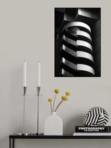 The Curves Poster och Canvastavla