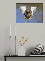 QUACK QUACK QUACK Poster och Canvastavla