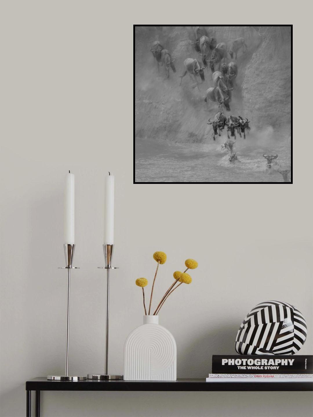Jumpping Poster och Canvastavla