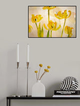 Flowering tulips Poster och Canvastavla