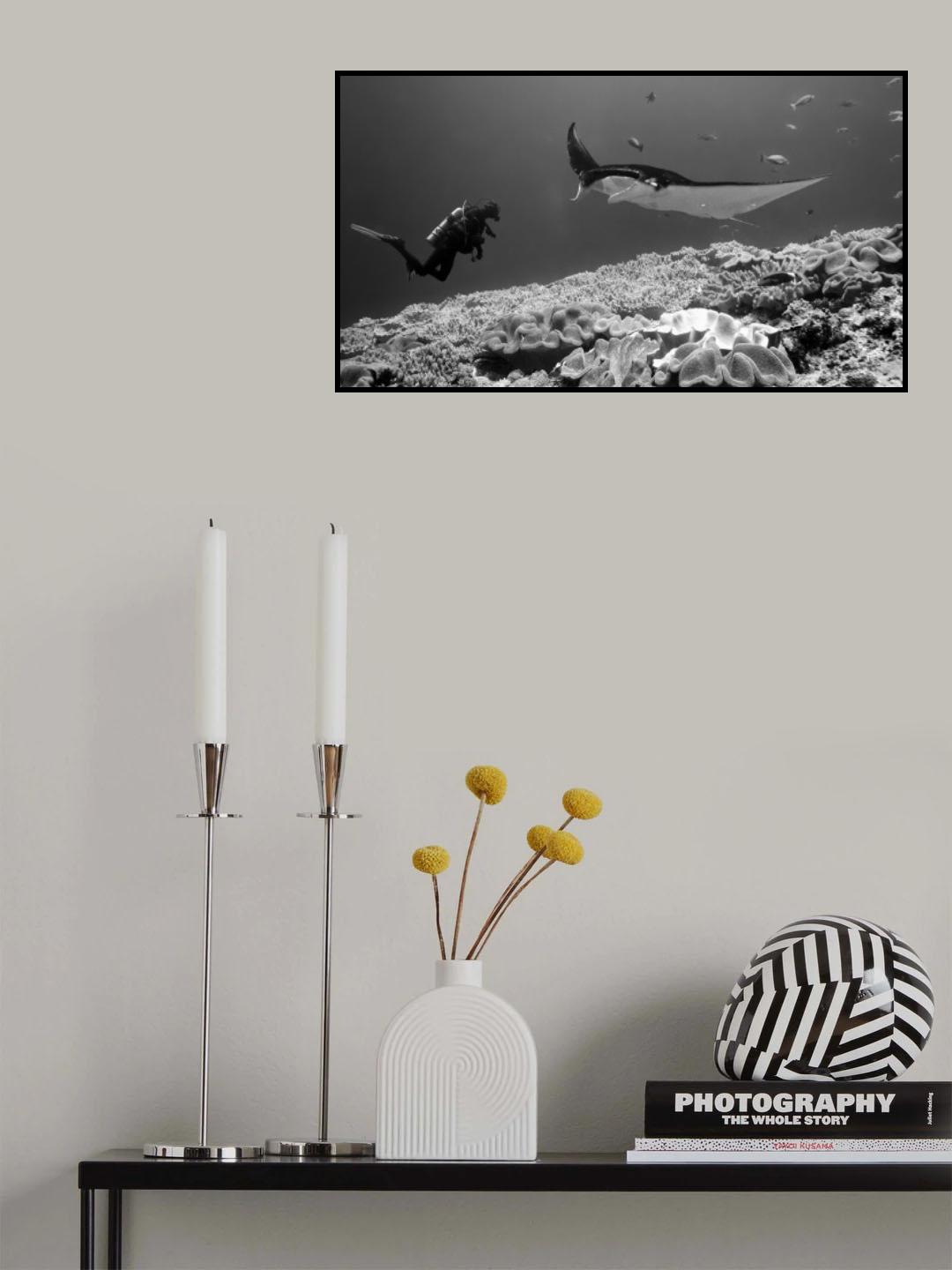 Face2face Poster och Canvastavla