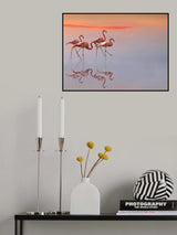 flamingos family Poster och Canvastavla