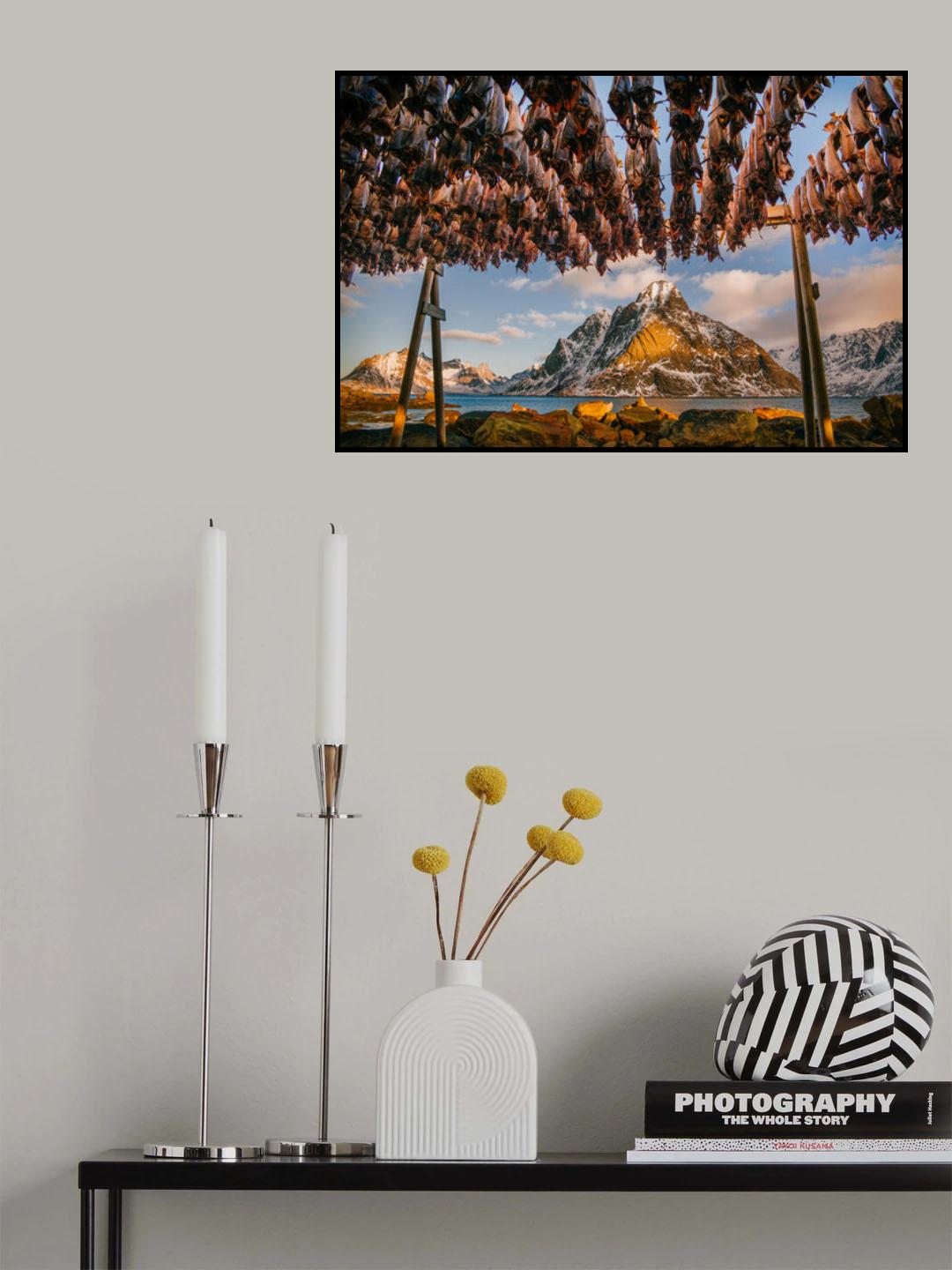 Stockfish in Lofoten Poster och Canvastavla