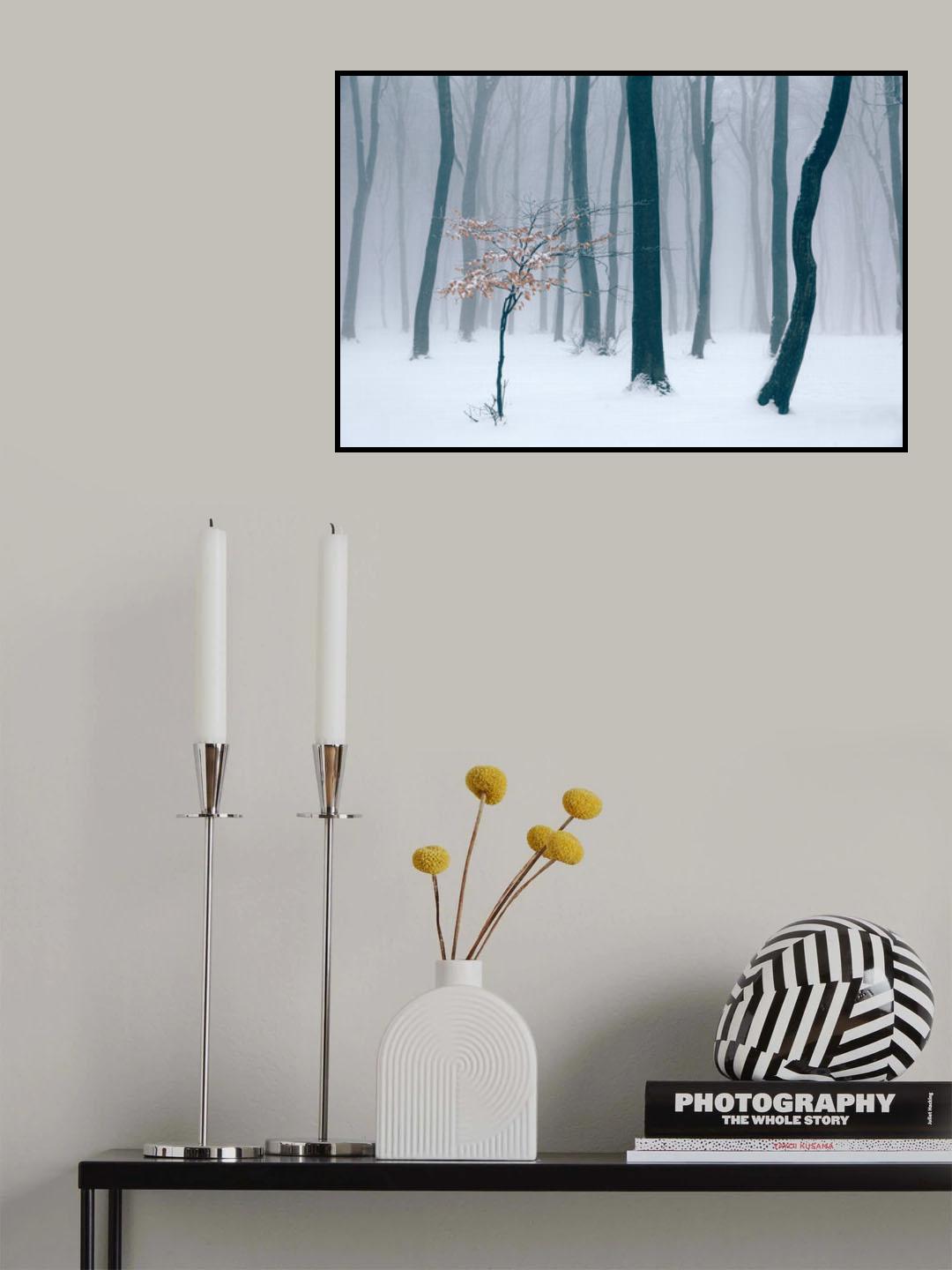 Mist Poster och Canvastavla