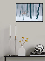 Mist Poster och Canvastavla