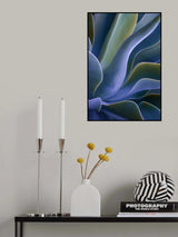 Agave Blues Poster och Canvastavla