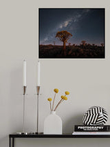 Milky Way Over Quiver Trees Poster och Canvastavla