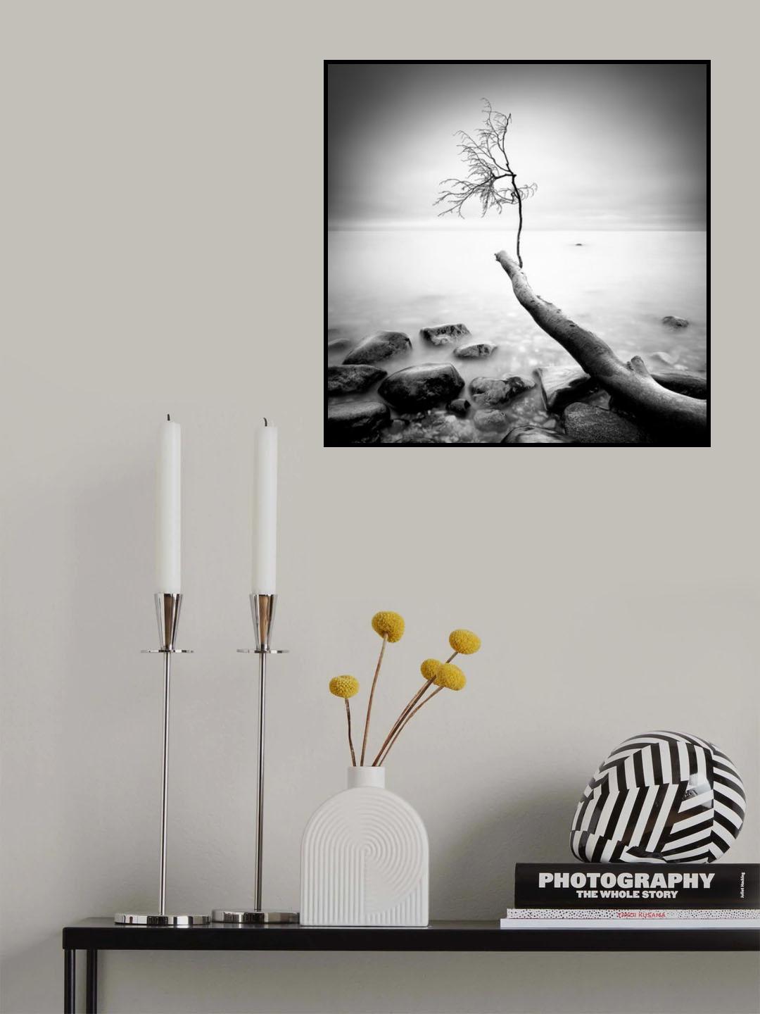 Lost Poster och Canvastavla