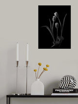 FamilyLove Poster och Canvastavla