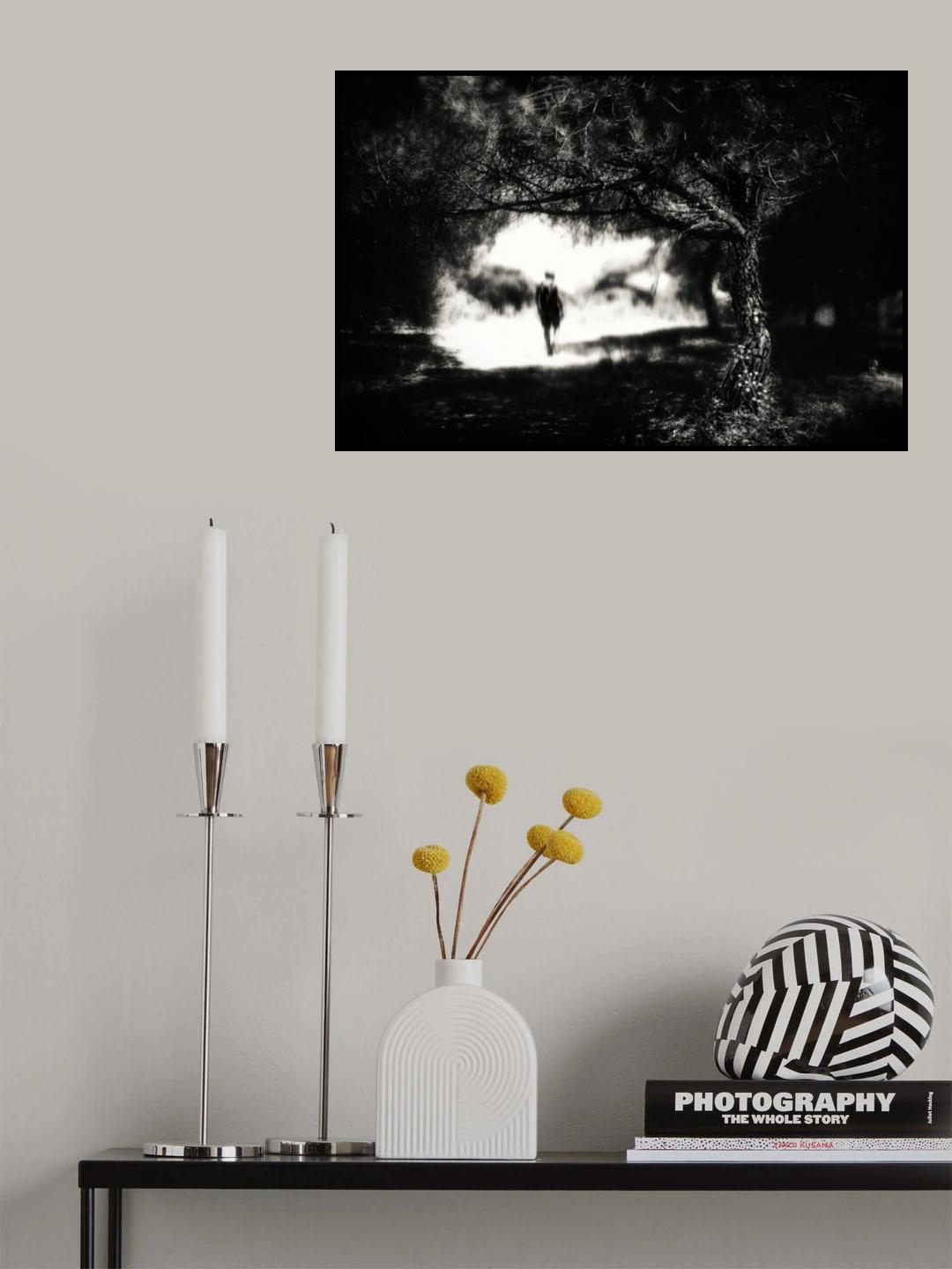 n/t Poster och Canvastavla