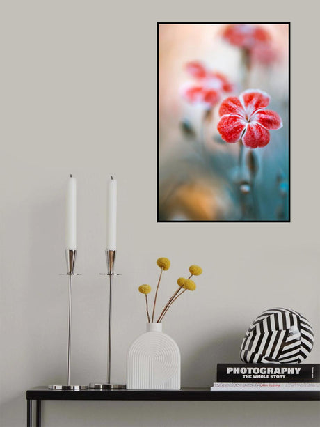Dianthus Poster och Canvastavla