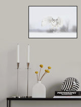 Snowy Owl taking flight Poster och Canvastavla