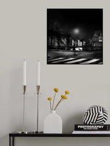 Moonlight stroll Poster och Canvastavla
