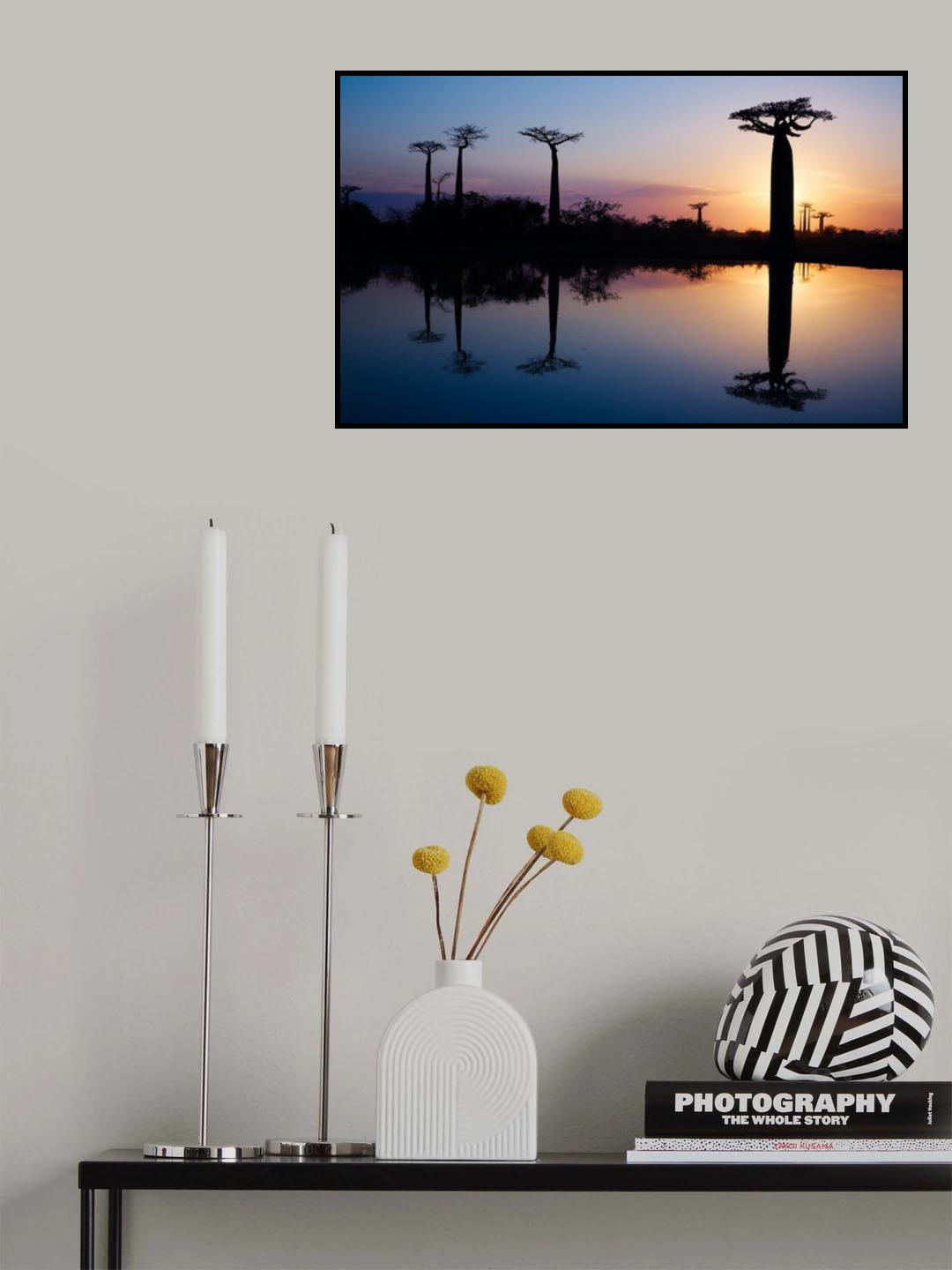 Majestic giants Poster och Canvastavla