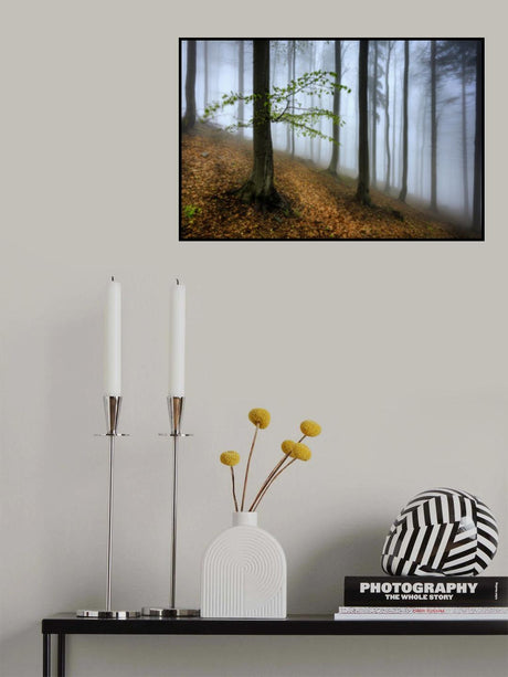 Spring visit Poster och Canvastavla