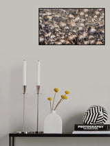 WildePattern Poster och Canvastavla