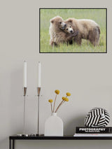 Sibling Love Poster och Canvastavla