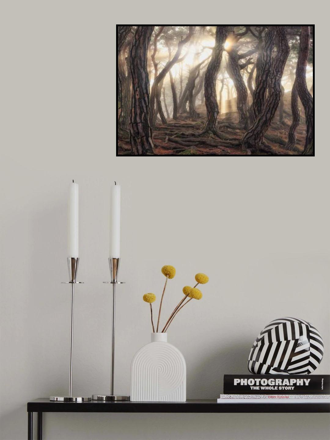 Old trees Poster och Canvastavla