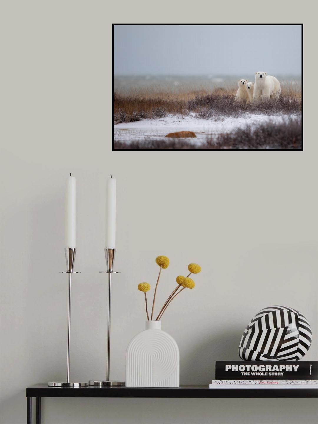 Mother with Cubs Poster och Canvastavla