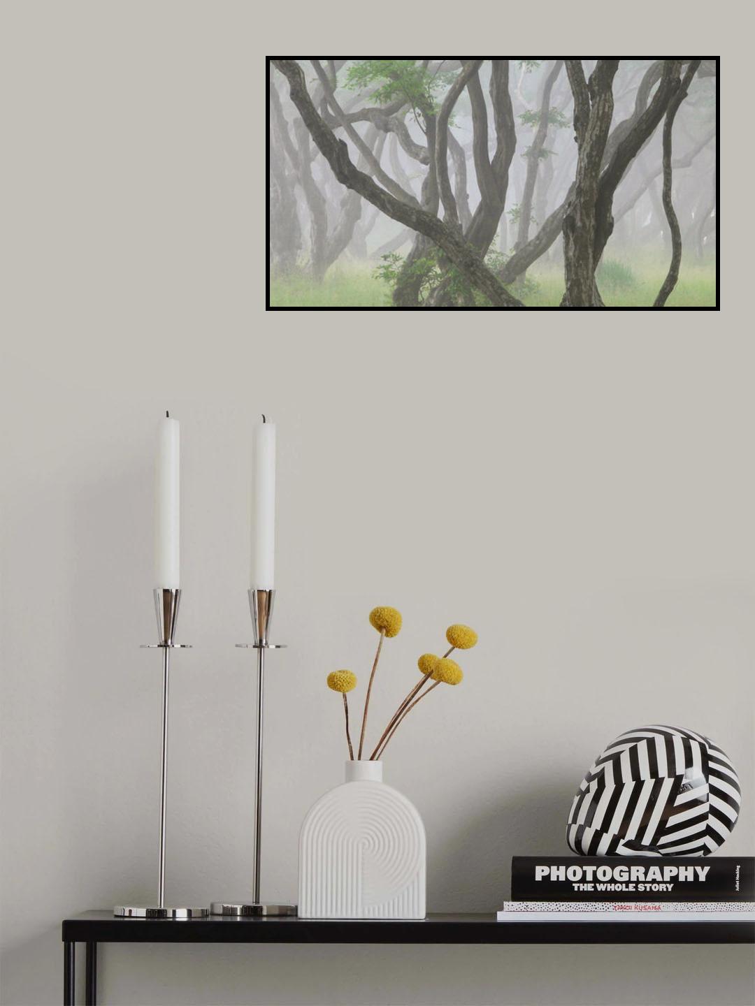 Korean Hornbeam-2 Poster och Canvastavla