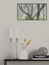 Korean Hornbeam-2 Poster och Canvastavla