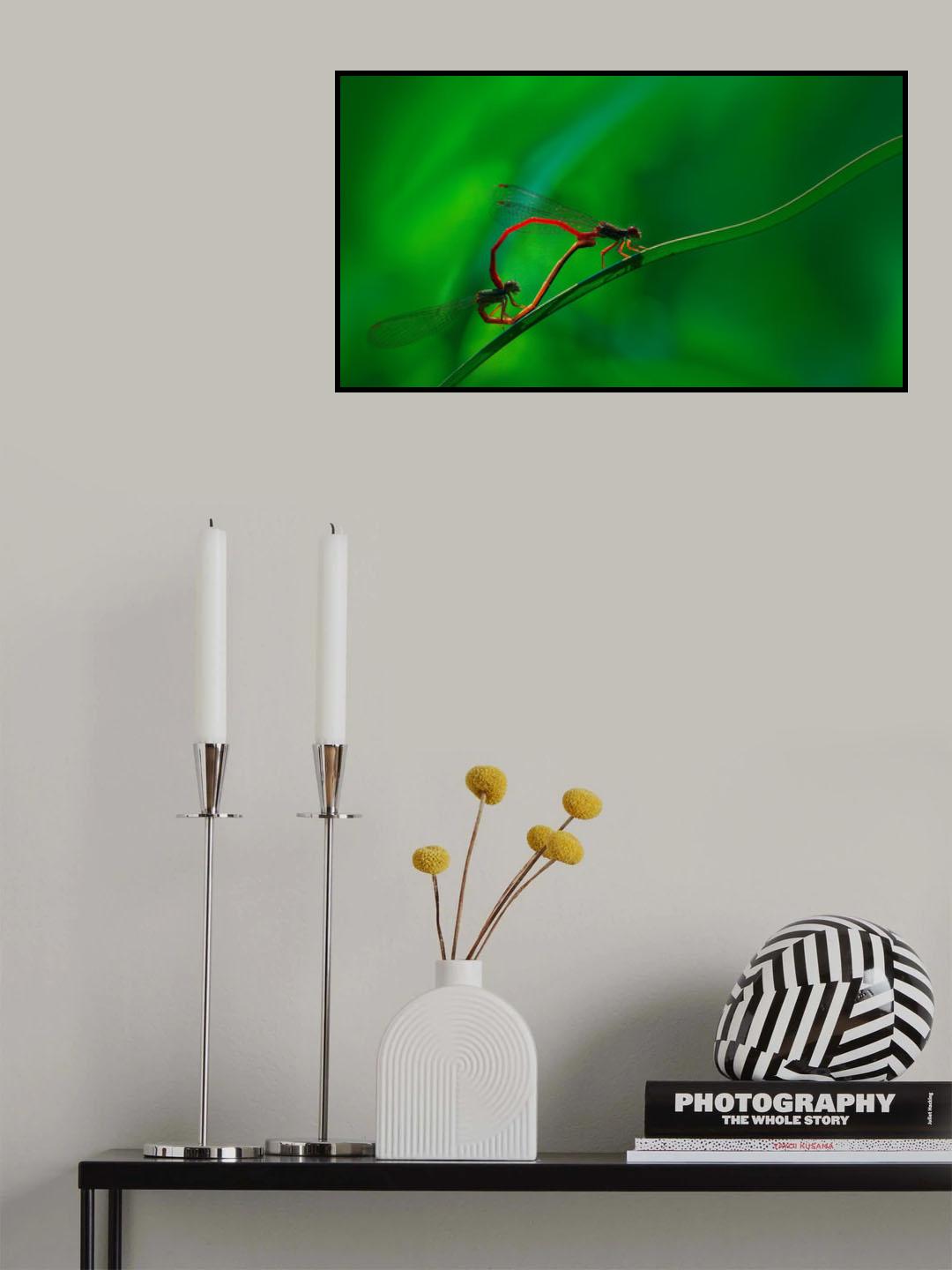 Damselflies mating Poster och Canvastavla