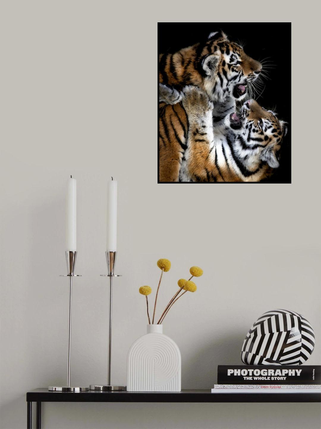 Poster och Canvastavla