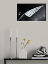 Natural shapes Poster och Canvastavla