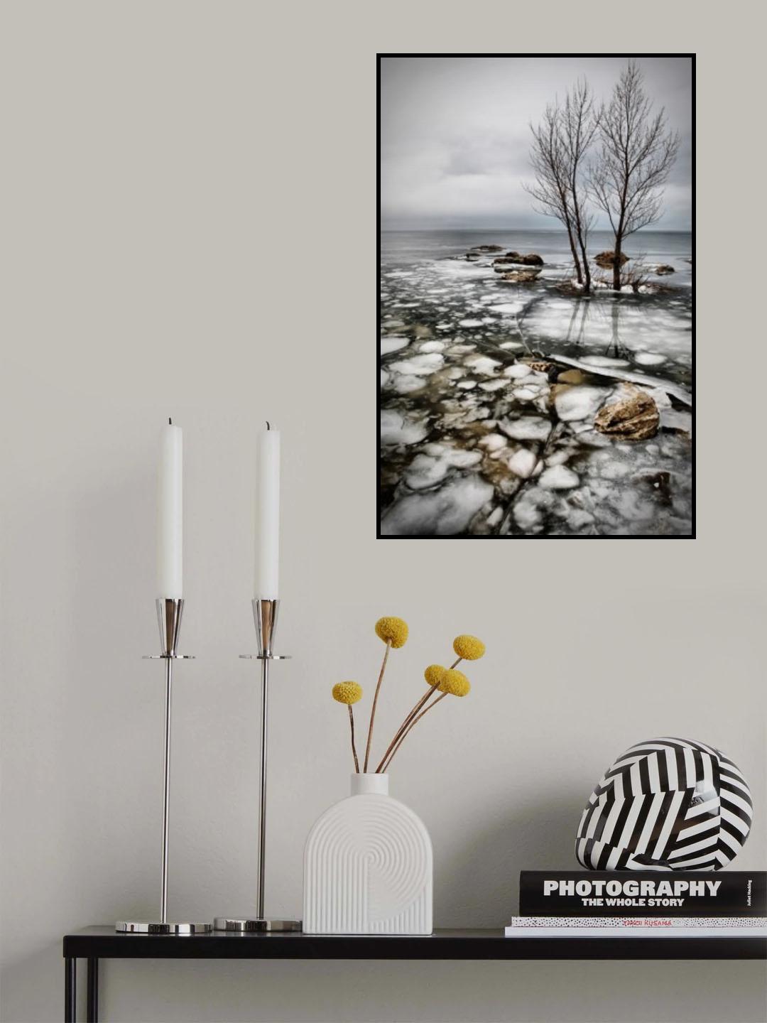 frozen lake Poster och Canvastavla