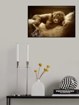 THE GOLDEN SIDE OF LIFE .... Poster och Canvastavla